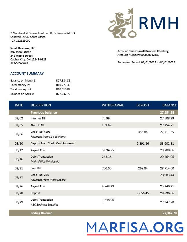 Realistic Rand Merchant Bank enterprise account statement Word and PDF template